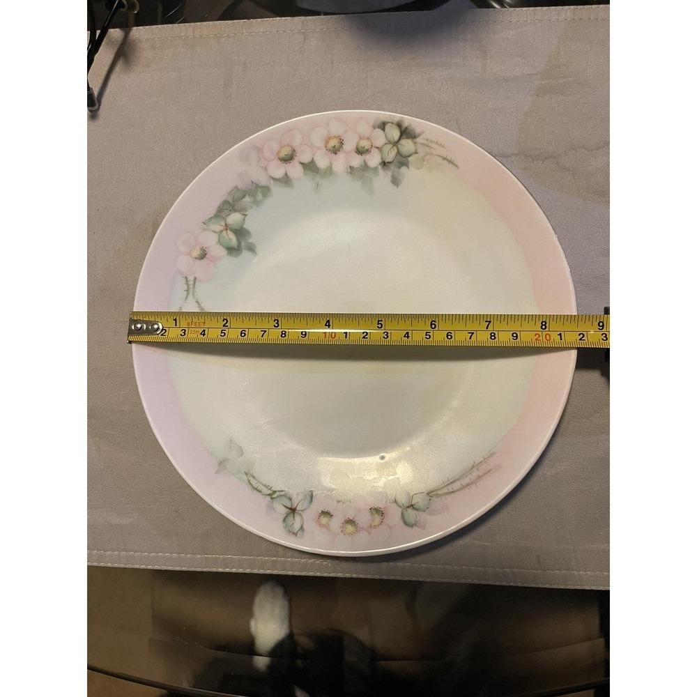 PT Bavaria 8.5" Painted Plate - Picture 2 of 4